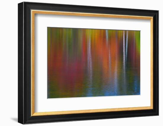 Surface of the water-Mallorie Ostrowitz-Framed Photographic Print