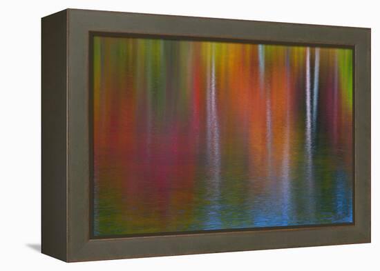 Surface of the water-Mallorie Ostrowitz-Framed Premier Image Canvas