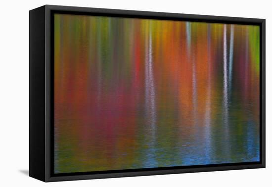 Surface of the water-Mallorie Ostrowitz-Framed Premier Image Canvas