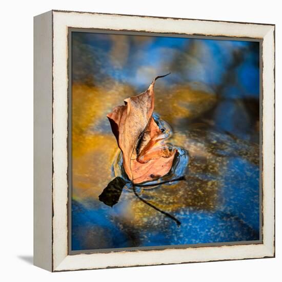 Surface Tension-Ursula Abresch-Framed Premier Image Canvas