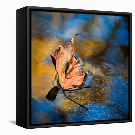 Surface Tension-Ursula Abresch-Framed Premier Image Canvas