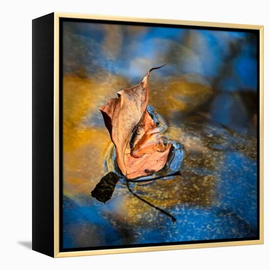 Surface Tension-Ursula Abresch-Framed Premier Image Canvas