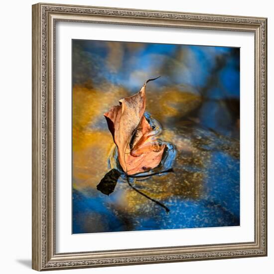 Surface Tension-Ursula Abresch-Framed Photographic Print