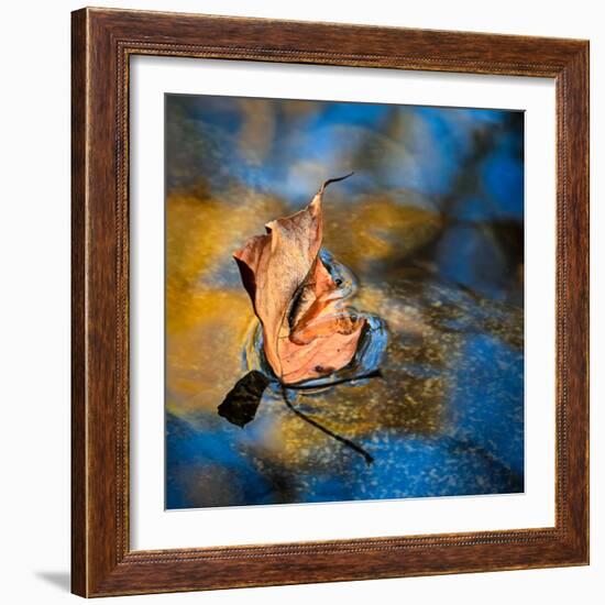 Surface Tension-Ursula Abresch-Framed Photographic Print