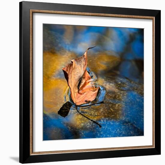 Surface Tension-Ursula Abresch-Framed Photographic Print