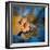 Surface Tension-Ursula Abresch-Framed Photographic Print