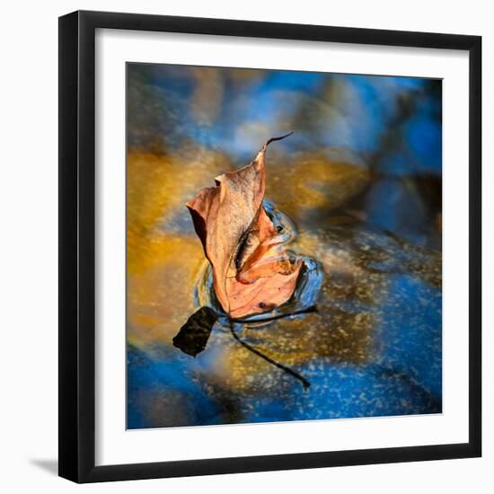 Surface Tension-Ursula Abresch-Framed Photographic Print