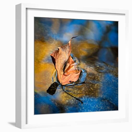 Surface Tension-Ursula Abresch-Framed Photographic Print