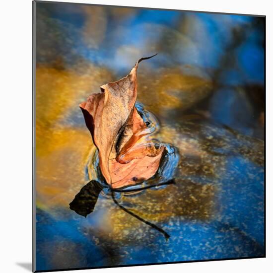 Surface Tension-Ursula Abresch-Mounted Photographic Print