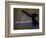 Surfacing Humpback Whale, Inside Passage, Southeast Alaska, USA-Stuart Westmoreland-Framed Photographic Print