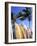 Surfboards, Grand Cul De Sac, St Bart's-Bill Bachmann-Framed Photographic Print