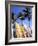 Surfboards, Grand Cul De Sac, St Bart's-Bill Bachmann-Framed Photographic Print