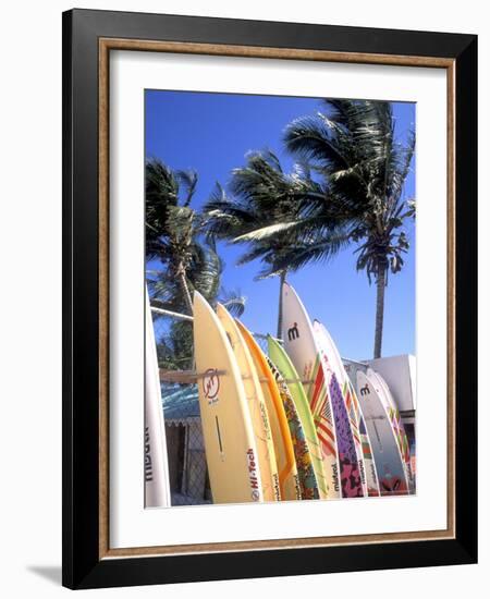 Surfboards, Grand Cul De Sac, St Bart's-Bill Bachmann-Framed Photographic Print