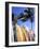 Surfboards, Grand Cul De Sac, St Bart's-Bill Bachmann-Framed Photographic Print