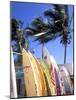 Surfboards, Grand Cul De Sac, St Bart's-Bill Bachmann-Mounted Photographic Print