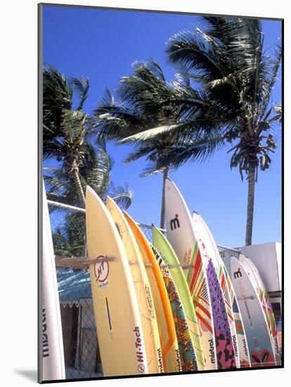 Surfboards, Grand Cul De Sac, St Bart's-Bill Bachmann-Mounted Photographic Print