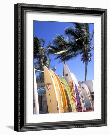 Surfboards, Grand Cul De Sac, St Bart's-Bill Bachmann-Framed Photographic Print