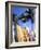 Surfboards, Grand Cul De Sac, St Bart's-Bill Bachmann-Framed Photographic Print