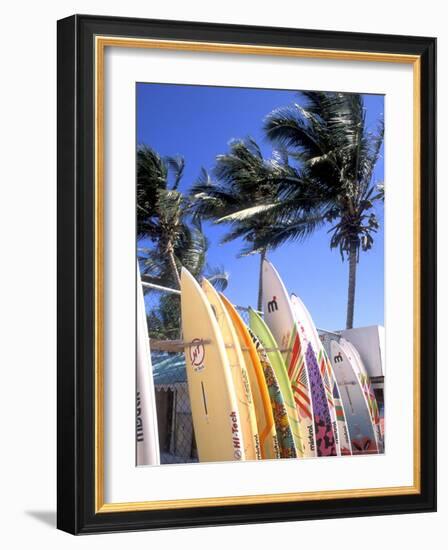 Surfboards, Grand Cul De Sac, St Bart's-Bill Bachmann-Framed Photographic Print