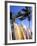 Surfboards, Grand Cul De Sac, St Bart's-Bill Bachmann-Framed Photographic Print