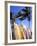 Surfboards, Grand Cul De Sac, St Bart's-Bill Bachmann-Framed Photographic Print