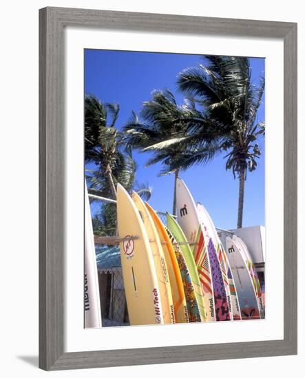 Surfboards, Grand Cul De Sac, St Bart's-Bill Bachmann-Framed Photographic Print