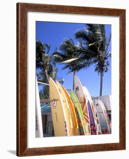 Surfboards, Grand Cul De Sac, St Bart's-Bill Bachmann-Framed Photographic Print