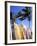 Surfboards, Grand Cul De Sac, St Bart's-Bill Bachmann-Framed Photographic Print