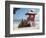 Surfboards Stacked Waiting for Hire at Kuta Beach on the Island of Bali, Indonesia, Southeast Asia-Harding Robert-Framed Photographic Print