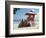 Surfboards Stacked Waiting for Hire at Kuta Beach on the Island of Bali, Indonesia, Southeast Asia-Harding Robert-Framed Photographic Print