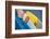 Surfboards-Aaron Matheson-Framed Photographic Print