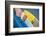 Surfboards-Aaron Matheson-Framed Photographic Print