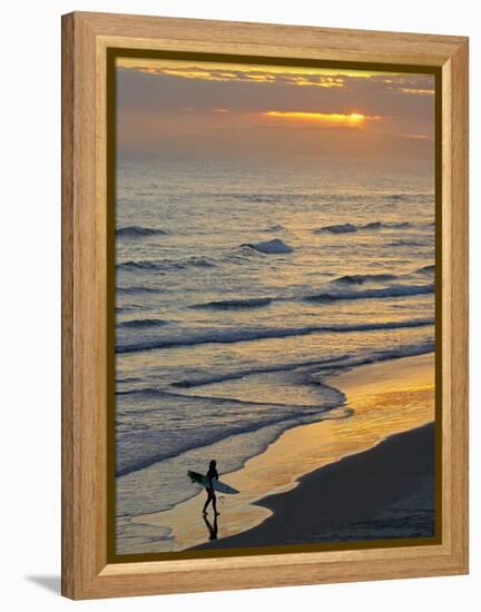 Surfer at Blackhead Beach, South of Dunedin, South Island, New Zealand-David Wall-Framed Premier Image Canvas