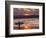 Surfer at Sunset, Gold Coast, Queensland, Australia-David Wall-Framed Photographic Print