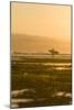 Surfer In Santa Cruz, CA-Justin Bailie-Mounted Photographic Print