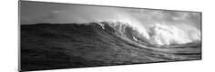 Photographic Print