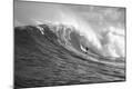 Photographic Print