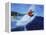 Surfer Joe-Eric Joyner-Framed Premier Image Canvas