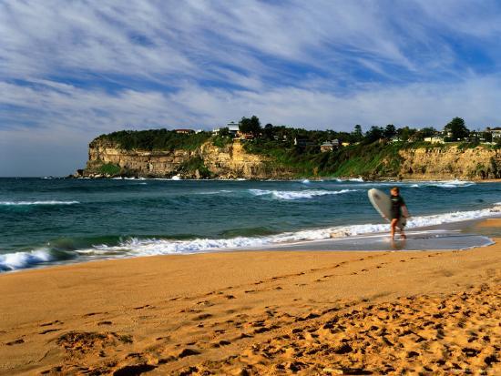 Surfer On Avalon Beach Bilgola Headland In Background Sydney New Surfer On Avalon Beach Bilgola Headland In Background Sydney New South Wales