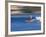 Surfer Rides Waves in the Pacific Ocean, Sayulita, Nayarit, Mexico-Merrill Images-Framed Photographic Print