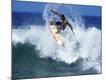 Premium Photographic Print