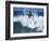 Surfer Riding a Wave-null-Framed Photographic Print