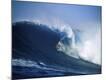 Premium Photographic Print