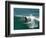 Surfer, St Clair Beach, Dunedin, New Zealand-David Wall-Framed Photographic Print