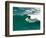 Surfer, St Clair Beach, Dunedin, South Island, New Zealand-David Wall-Framed Photographic Print