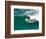 Surfer, St Clair Beach, Dunedin, South Island, New Zealand-David Wall-Framed Photographic Print