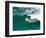 Surfer, St Clair Beach, Dunedin, South Island, New Zealand-David Wall-Framed Photographic Print