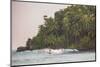 Surfer Surfing at Sunset at Mirissa Beach, South Coast, Sri Lanka, Southern Province, Asia-Matthew Williams-Ellis-Mounted Photographic Print