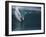 Surfer Surfing-null-Framed Photographic Print