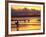 Surfers at Sunset, Gold Coast, Queensland, Australia-David Wall-Framed Photographic Print